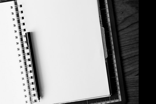 Groupe de travail national sur l'E.M.I.